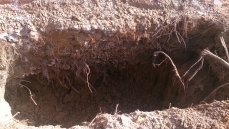 obralourdes1