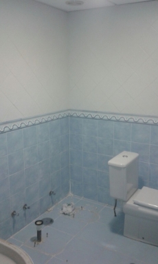 bano20154